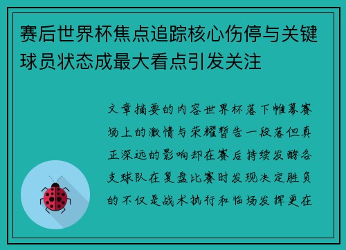 赛后世界杯焦点追踪核心伤停与关键球员状态成最大看点引发关注